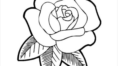 Free Rose Coloring Pages | Kids Coloring Pages